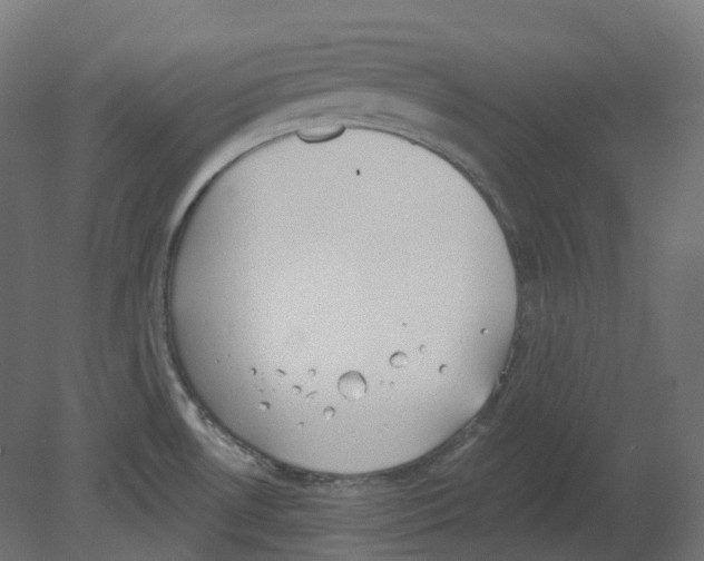 X0000080671530200701121619