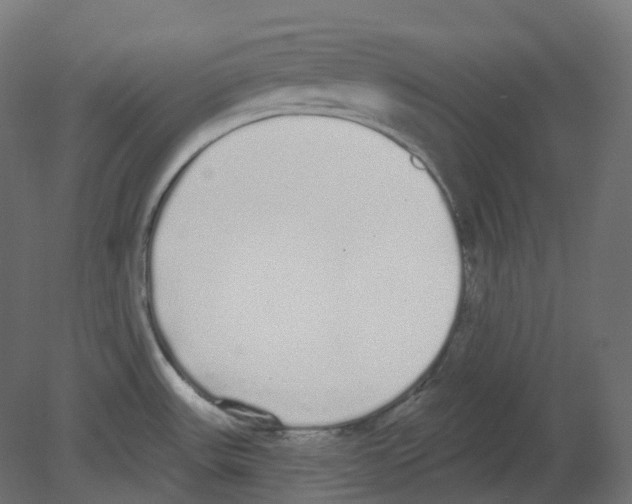 X0000080671531200701121619