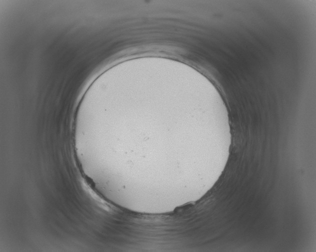 X0000080671532200701121619