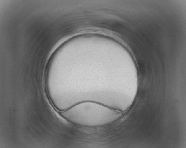 X0000080671533200701121619