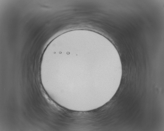 X0000080671534200701121619