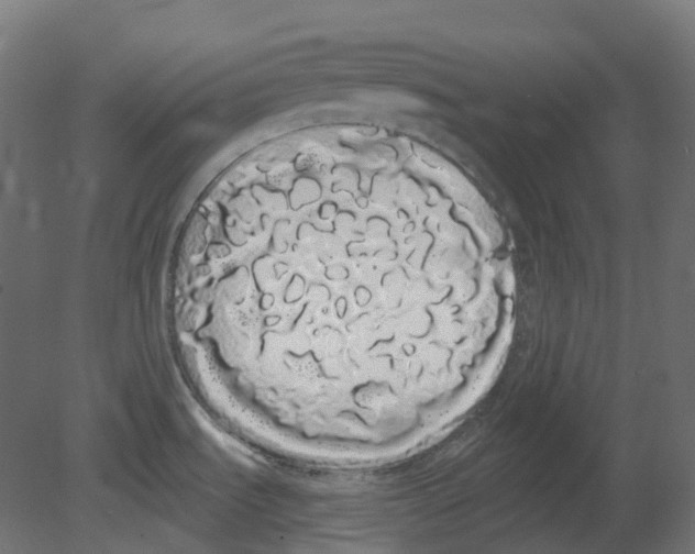 X0000080671535200701121619