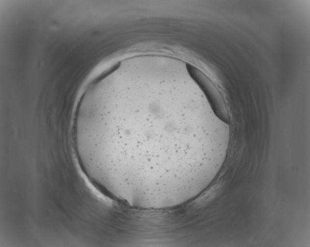 X0000080671536200701121619