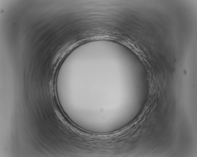 X0000080680002200612150750