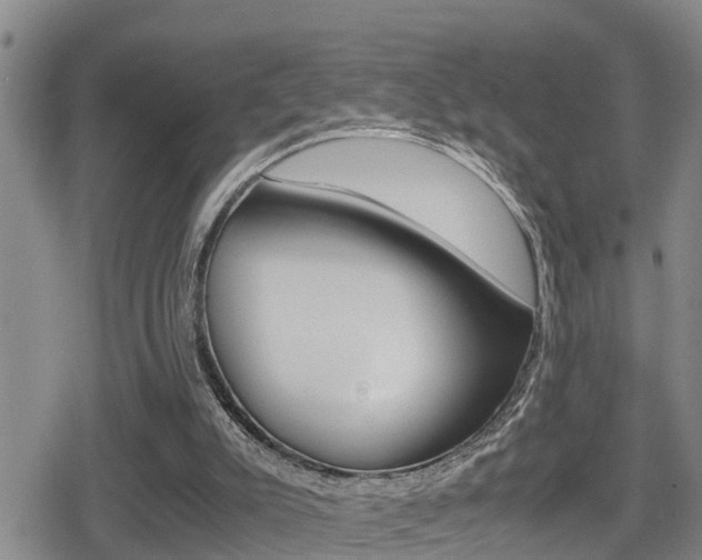 X0000080680007200612150750
