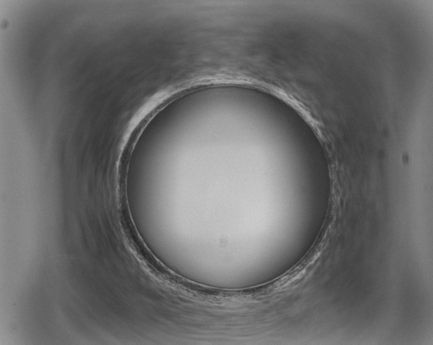 X0000080680008200612150750