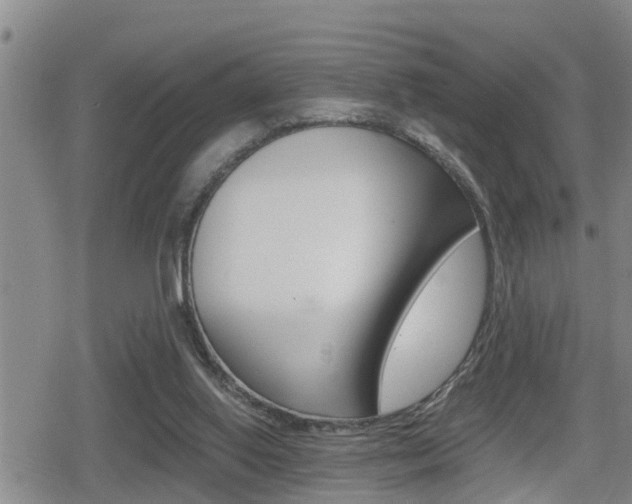 X0000080680062200612150748