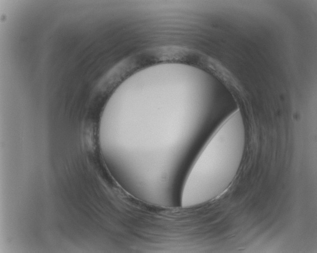 X0000080680074200612150749