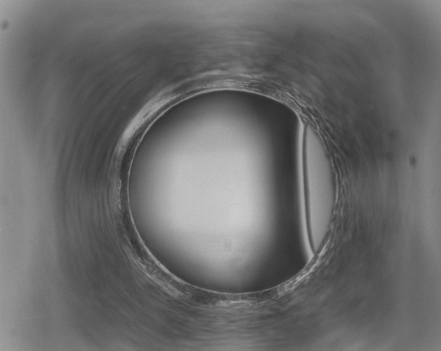 X0000080680150200612150747