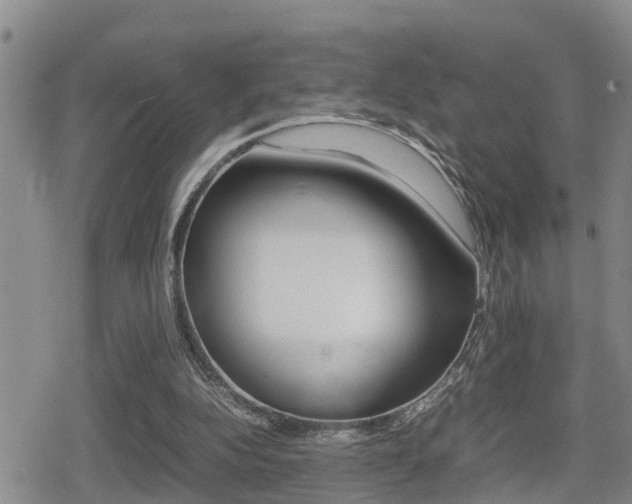 X0000080680152200612150747