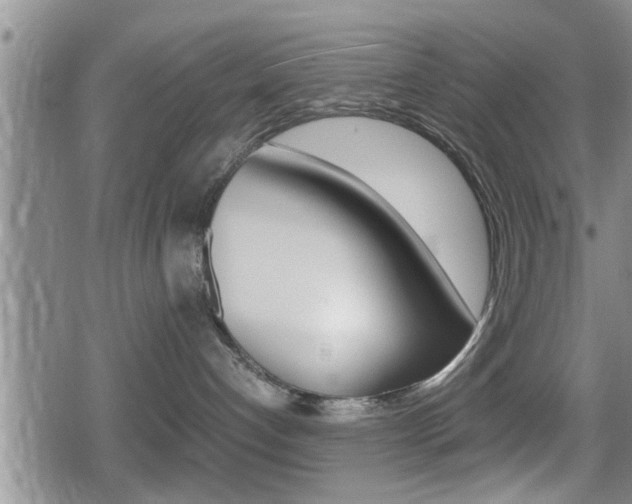 X0000080680192200612150747