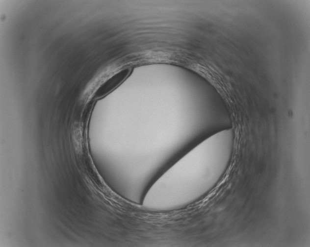 X0000080680194200612150747
