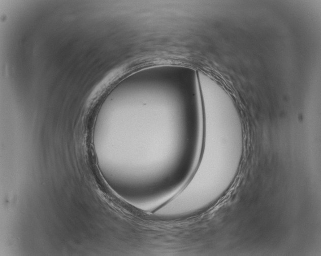 X0000080680197200612150747
