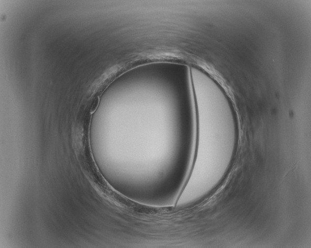 X0000080680201200612150746