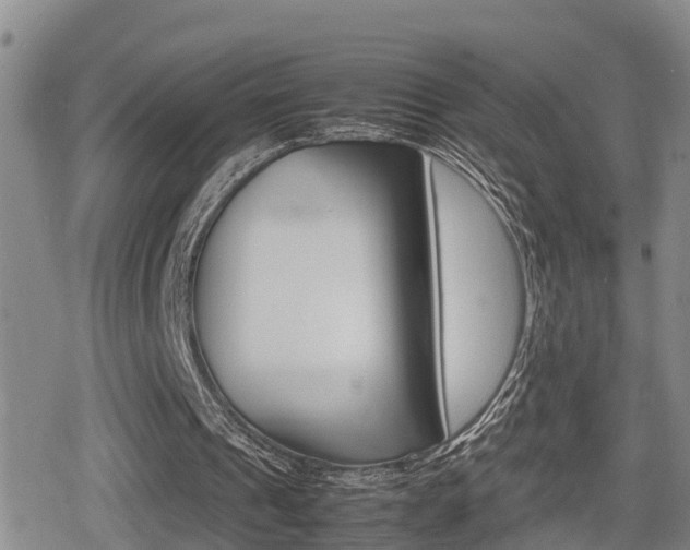 X0000080680241200612150745