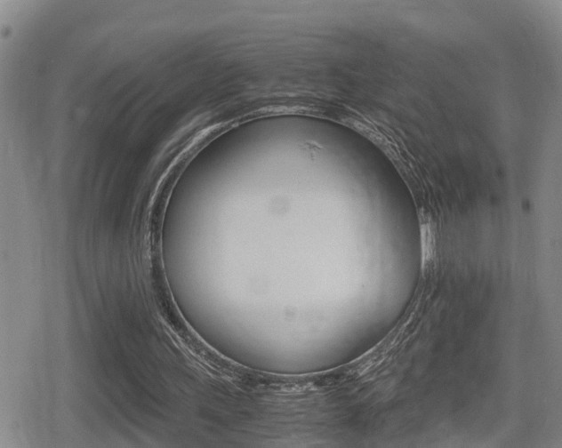 X0000080680243200612150745