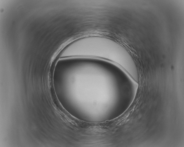 X0000080680244200612150745