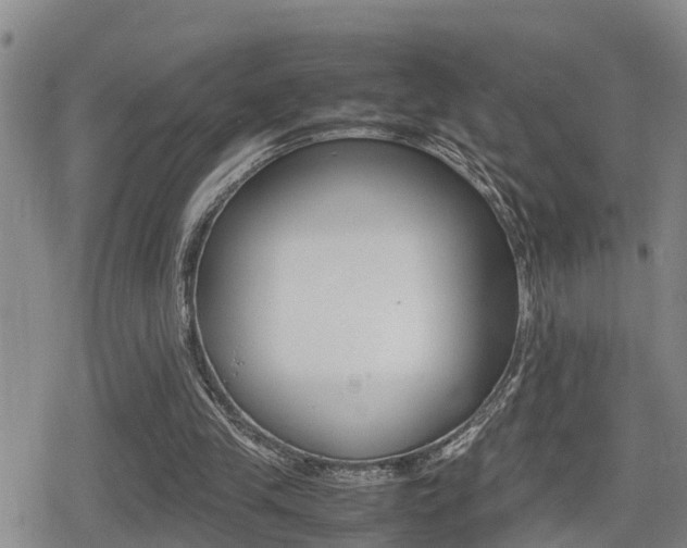 X0000080680245200612150745