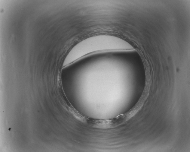 X0000080680288200612150746