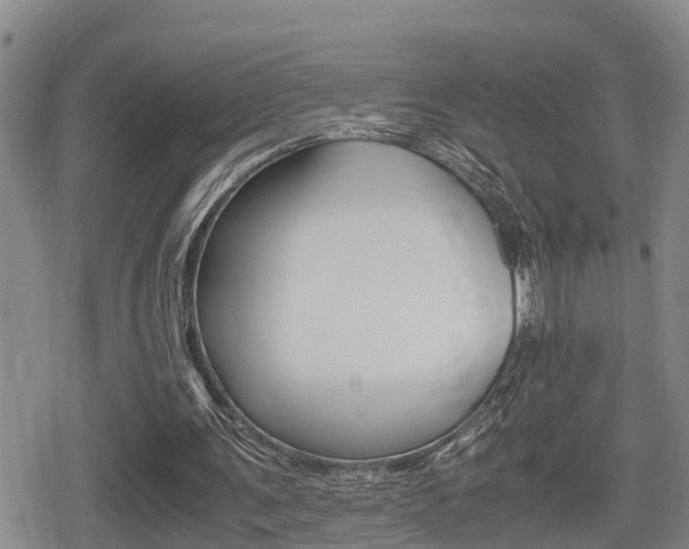 X0000080680291200612150745