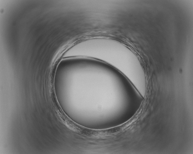 X0000080680293200612150745