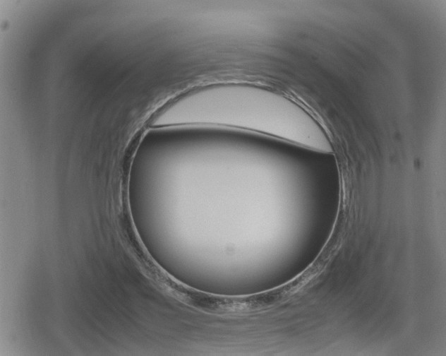 X0000080680301200612150745