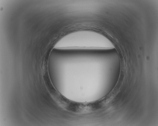 X0000080680311200612150745