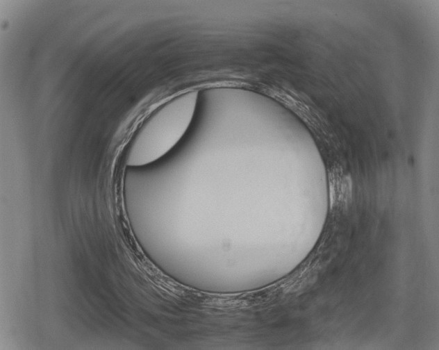 X0000080680339200612150744