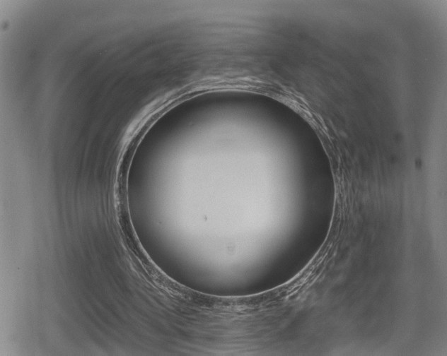 X0000080680340200612150744