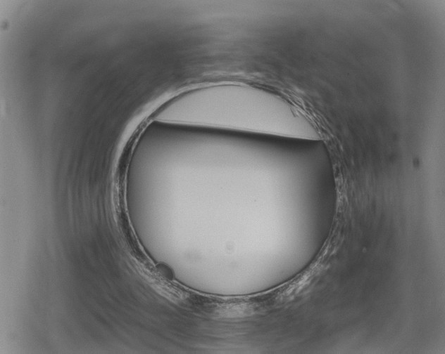 X0000080680342200612150744