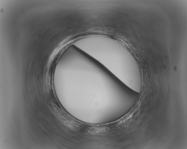 X0000080680343200612150744