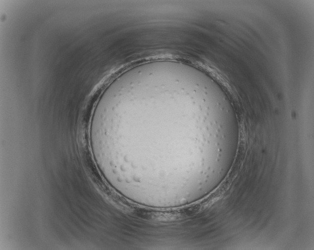 X0000080680347200612150744