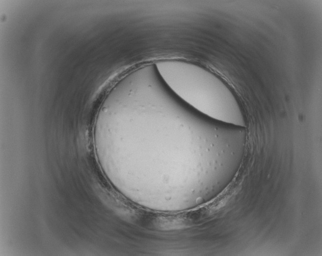 X0000080680351200612150744