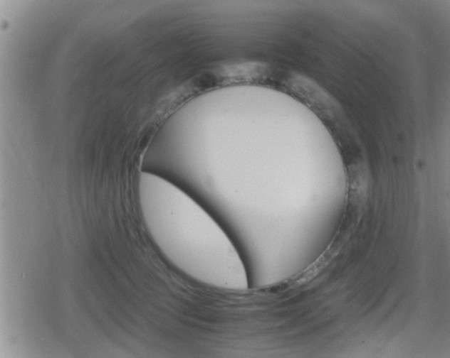 X0000080680369200612150744