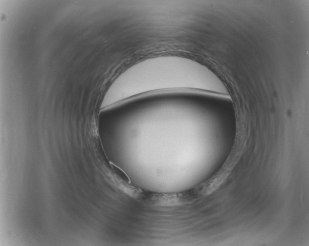 X0000080680384200612150744