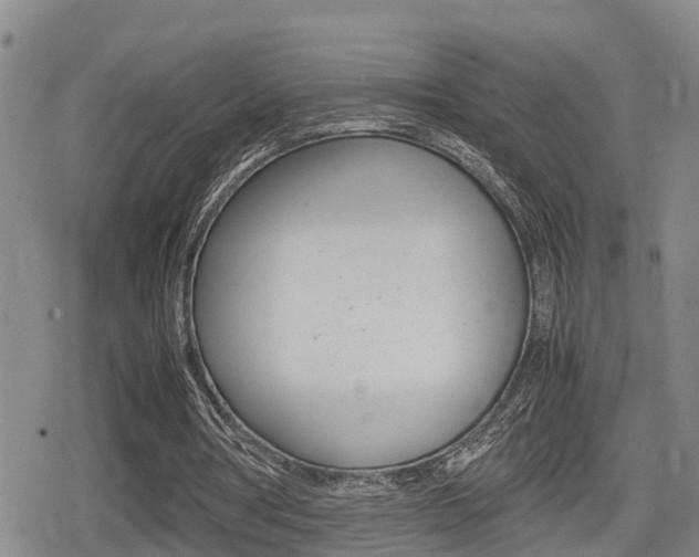 X0000080680386200612150743