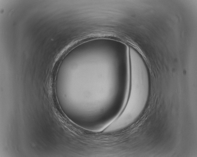 X0000080680387200612150743