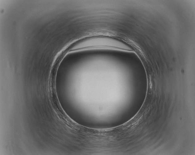 X0000080680388200612150743
