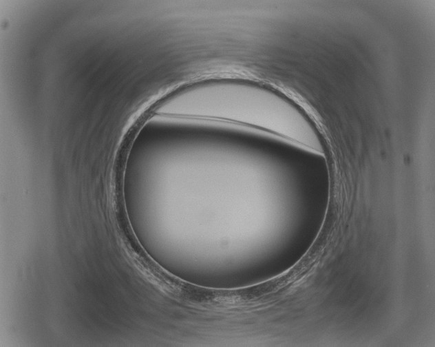 X0000080680391200612150743