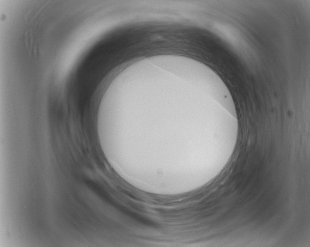 X0000080680431200612150743