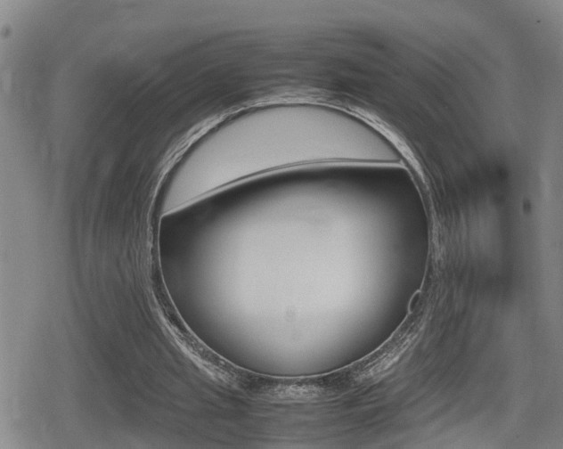 X0000080680437200612150742