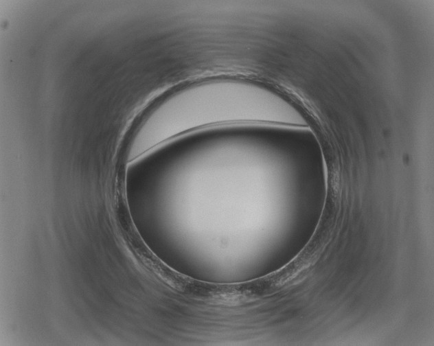 X0000080680540200612150741