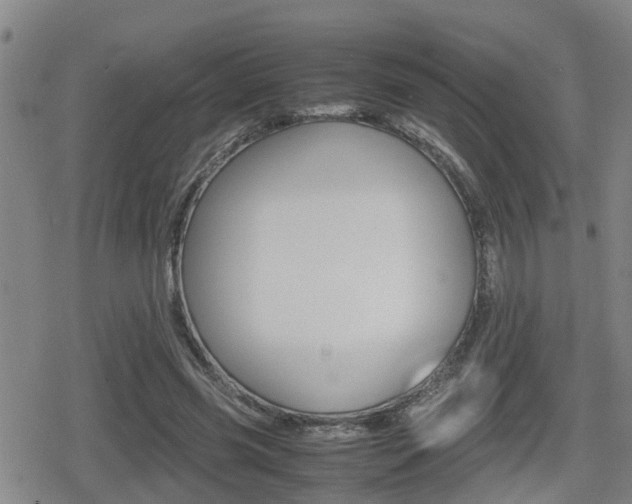 X0000080680541200612150741
