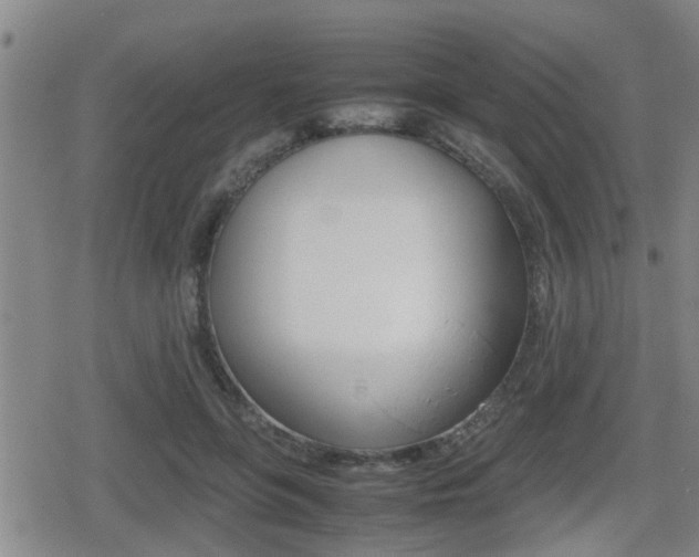 X0000080680551200612150741