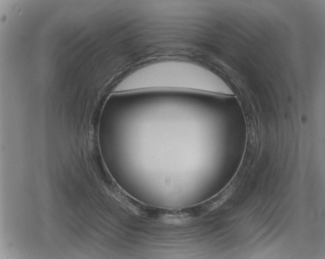 X0000080680556200612150741