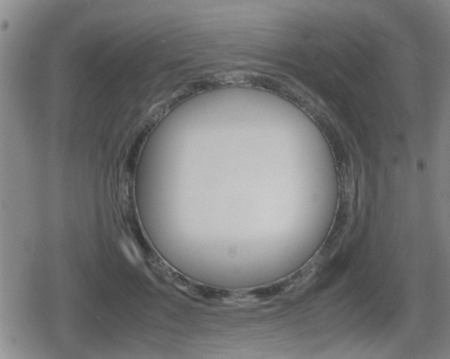 X0000080680603200612150740