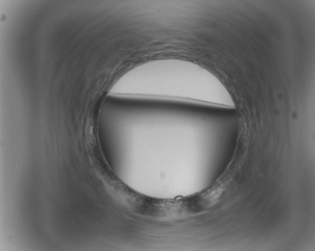 X0000080680615200612150740