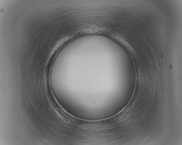 X0000080680626200612150739