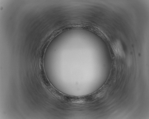 X0000080680643200612150739