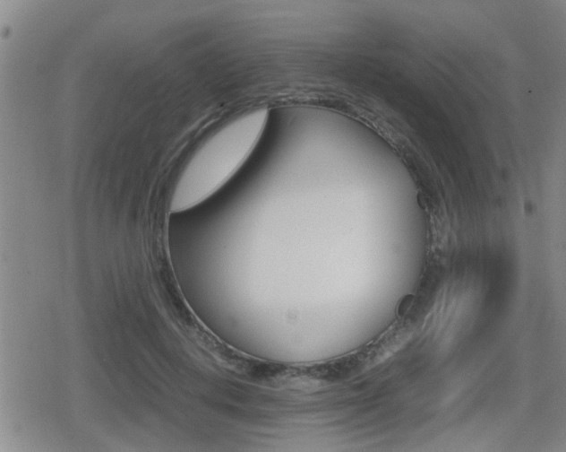 X0000080680648200612150739